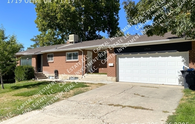 1719 OLIVE DR