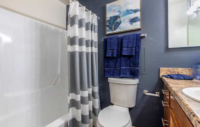 Pet-Friendly Apartments In Tucson, AZ – Midtown on Seneca - Photo of bathroom