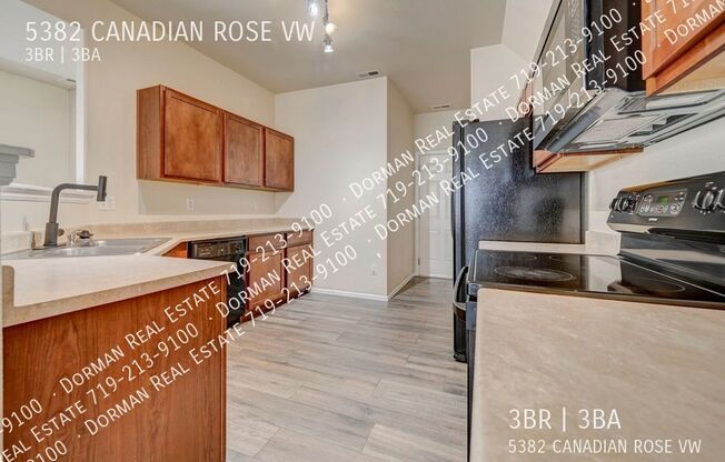 5382 CANADIAN ROSE VW