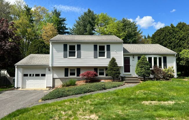 Single Family, Raised Ranch With Many Updates!