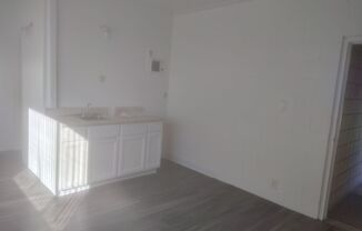 Studio, 1 bath, 204 sqft, $1,250, Unit 28