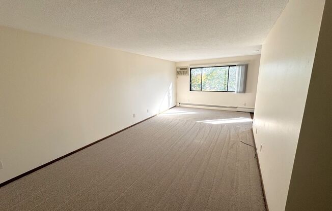 1 bed, 1 bath, $1,295, Unit #310