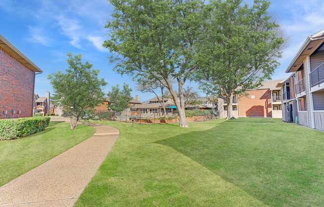 A tree in a grassy area with a pathway leading to a building.