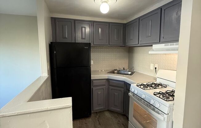 1 bed, 1 bath, 700 sqft, $1,200, Unit 307