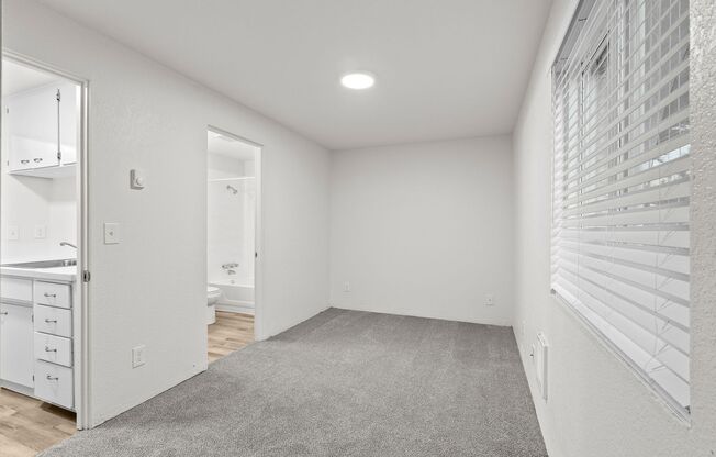 1 bed, 1 bath, 425 sqft, $1,250