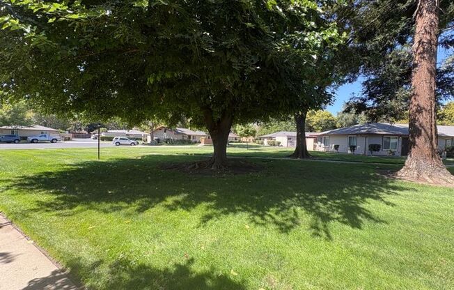 Cute 2 Bedroom Condo