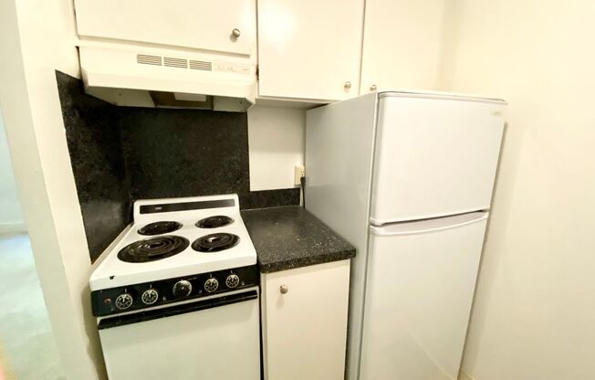 1 bed, 1 bath, 351 sqft, $1,295, Unit 505