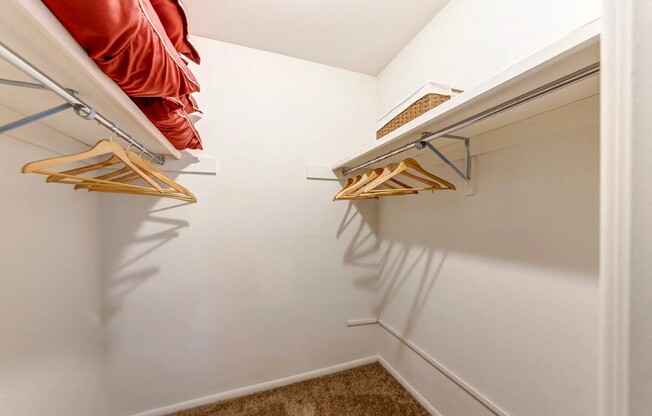 Gallery Photo 15