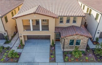65 ROCKINGHORSE