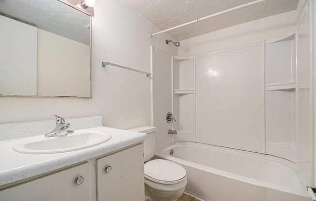 Omaha, NE Evergreen Terrace Apartments. bathroom with a sink toilet and bathtub