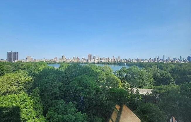 315 CENTRAL PARK W