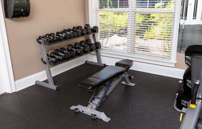 Free Weights in Fitness Center at Abberly Woods Apartment Homes, Charlotte, North Carolina 28216