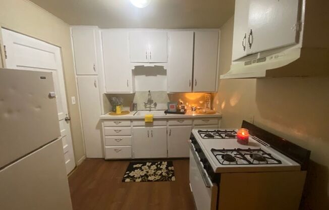 3120 S Woodward - 1