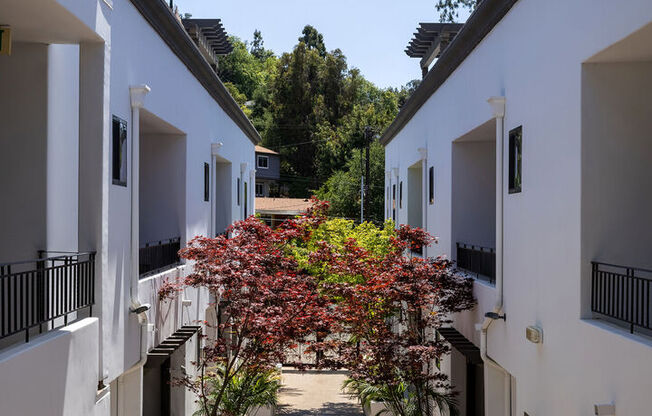 Vista Paradiso