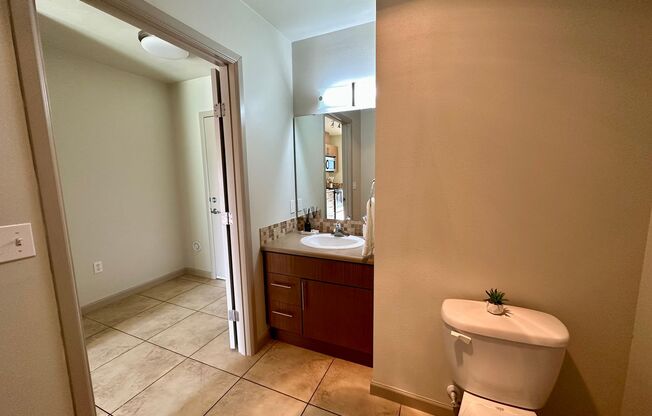 Studio, 1 bath, 430 sqft, $1,599, Unit Unit 302