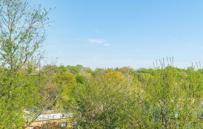 Studio, 1 bath, 375 sqft, $1,195, Unit C7