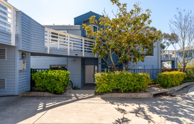 11051 VIS PACIFICA