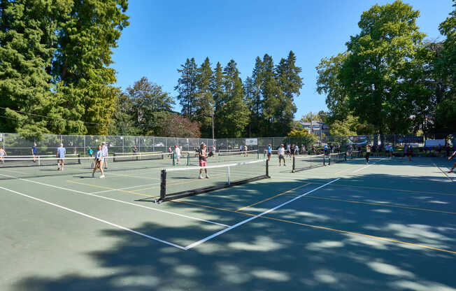 Join a pickle ball club at Green Lake Courts