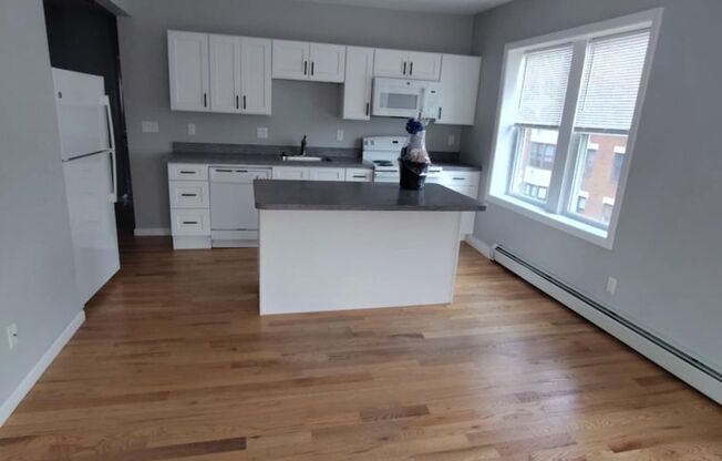 Renovated 2 Bedroom with Washer and Dryer hook ups