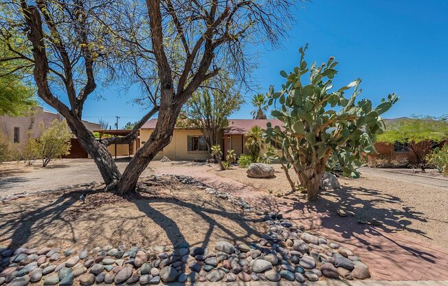 Great Central Location- Spacious & charming 3 bdrm/2 bath, minutes from UA/Downtown!