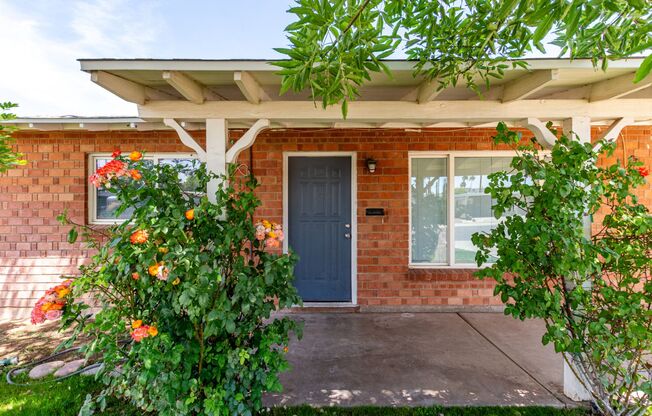 South Scottsdale Charmer! 4 bed + Office, 3 baths, with Pool and huge covered patio