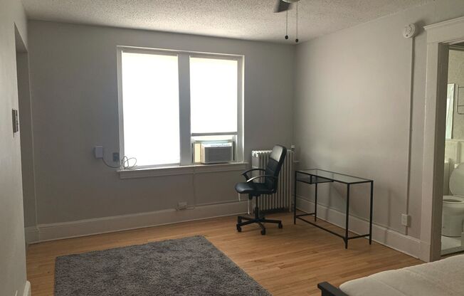 Studio, 1 bath, 300 sqft, $1,450, Unit Unit 610