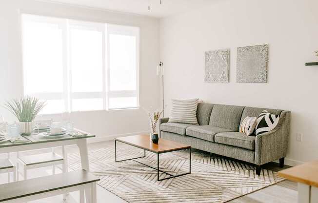 Spacious living room echo park apartment
