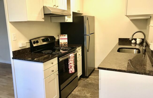 1 bed, 1 bath, 560 sqft, $1,595, Unit 203