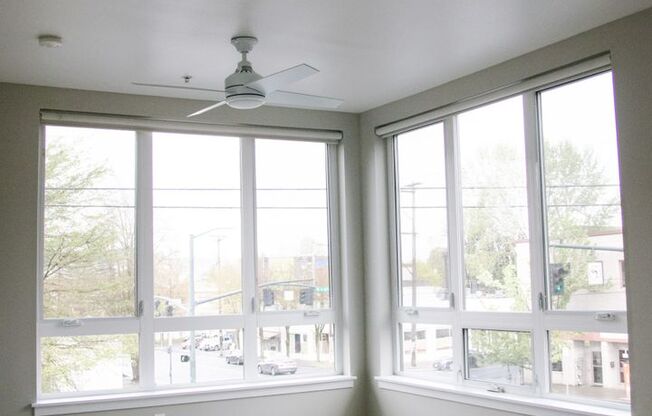 1 bed, 1 bath, 501 sqft, $1,550, Unit 306