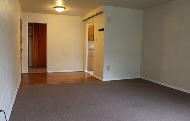 Studio, 1 bath, 410 sqft, $1,110, Unit 12