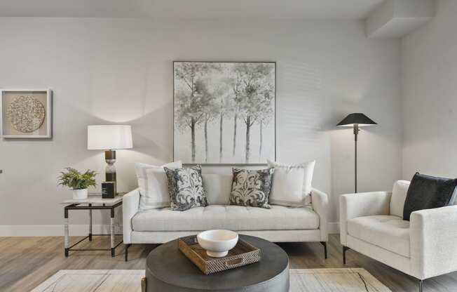 Decorated Living Room at The Edison at Chapel Hills, Colorado Springs, CO