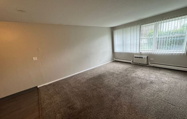 1 bed, 1 bath, 546 sqft, $925, Unit 3