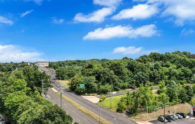 the view of a highway and trees from the top of a hill