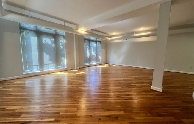 Studio, 1 bath, 900 sqft, $2,551, Unit Unit 2A -