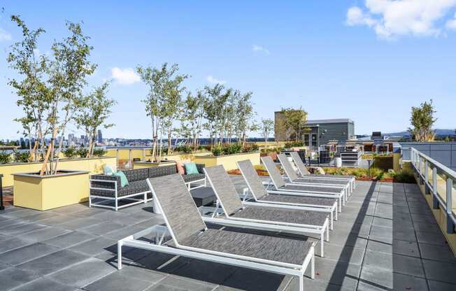 Rooftop Sundeck with Lounge Chairs at The Whittaker, 4755 Fauntleroy Way, Seattle