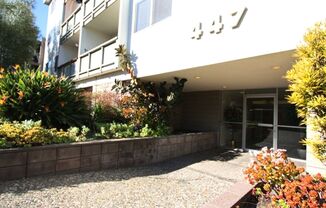1p174 - 447 Orange Street