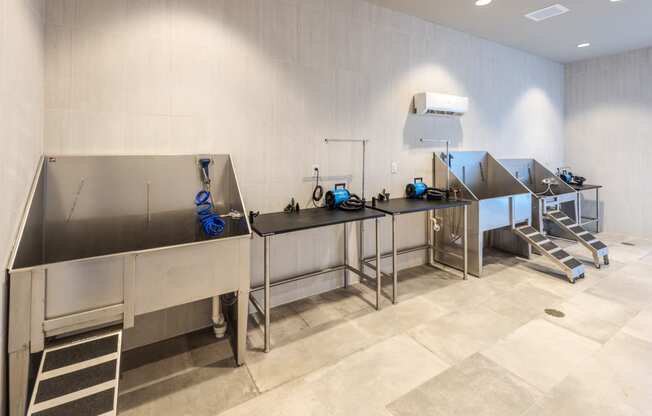 Pet Wash Station