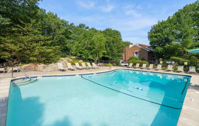A large swimming pool surrounded by trees and lounge chairs.