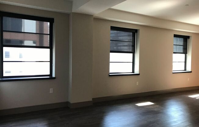 1 bed, 1 bath, 907 sqft, $2,213, Unit 1705