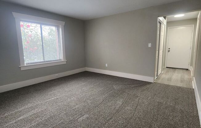 Studio, 1 bath, 415 sqft, $1,025, Unit 202