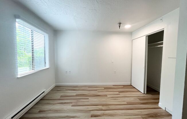 Studio, 1 bath, 480 sqft, $1,395, Unit 118
