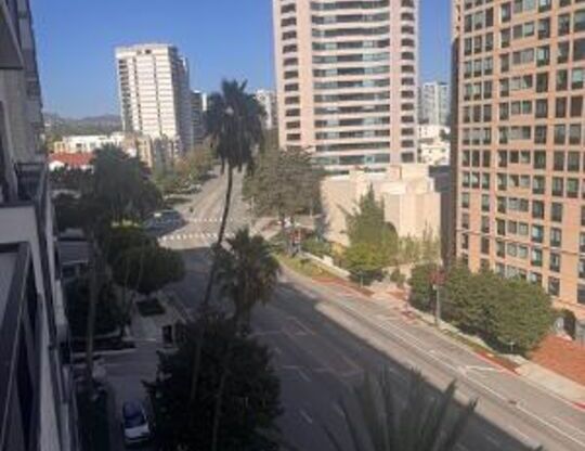 2 beds, 2 baths, 1,073 sqft, $5,250, Unit 1002