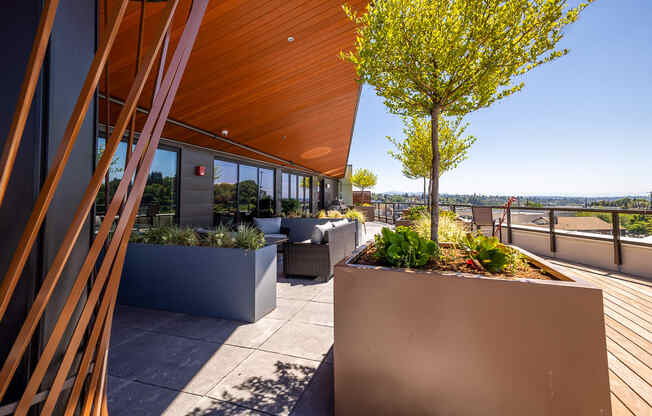 a roof terrace with benches and plants and views of the city