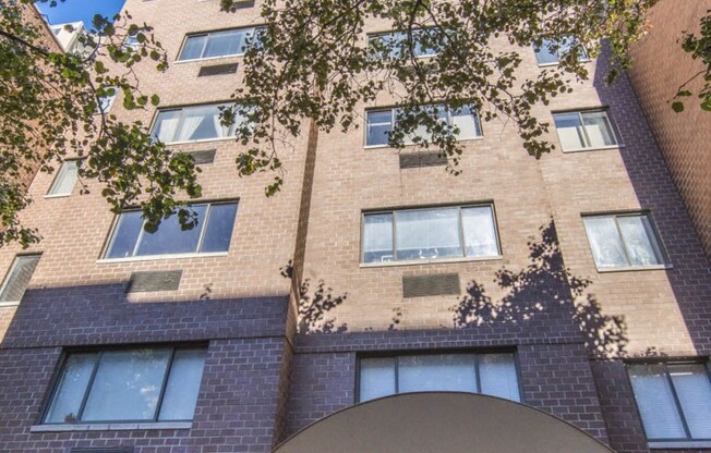 1 bed, 1 bath, $3,238, Unit 3-C