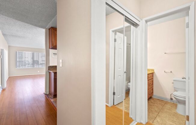 Mirrored Closet Storage for Studio Apartments