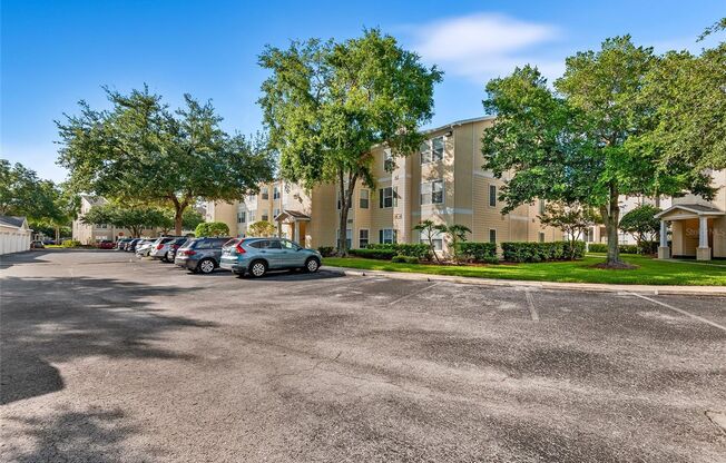 NEW TAMPA APARTMENT FOR RENT!