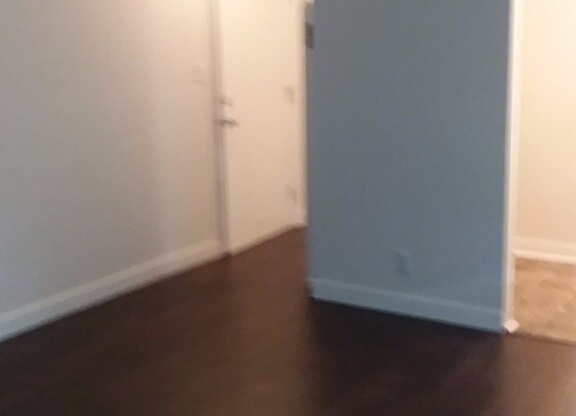 Studio, 1 bath, 250 sqft, $1,245, Unit 101