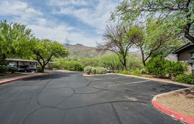 Furnished 2 Bedroom in The Greens at Ventana Canyon