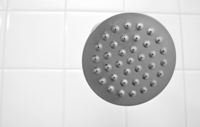 Bathroom Tile + Shower Head