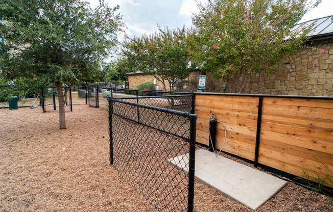 Dog Wash Station